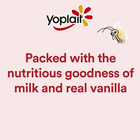 Yoplait Vanilla 12 Pack