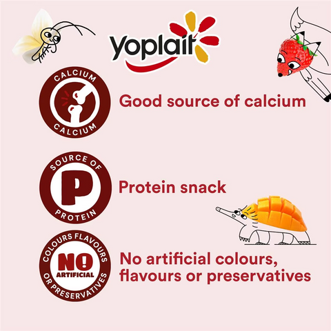 Yoplait Classics Mixed Yoghurts 6 Pack