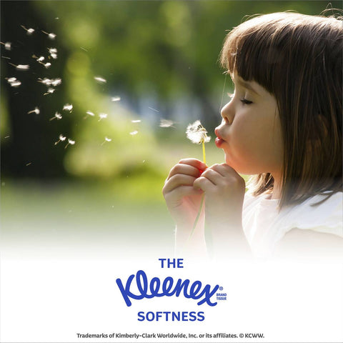 Kleenex Everyday 2 Ply Facial Tissues 200 Pack