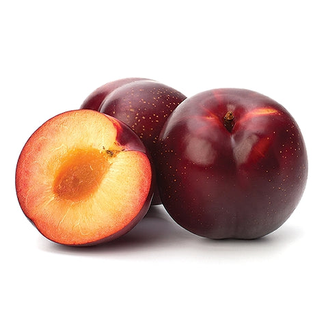 Fresh Plum Red Medium Size - Pack of 3