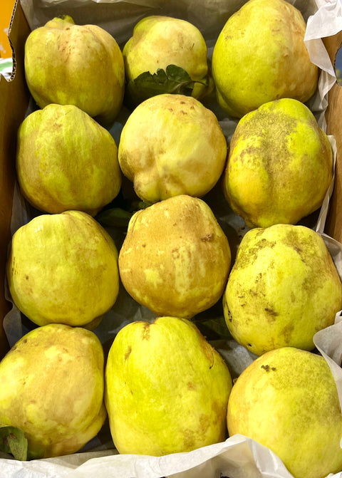 Quince - Each