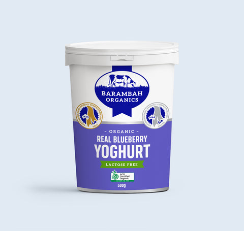 Organic Real Blueberry Yoghurt 500g