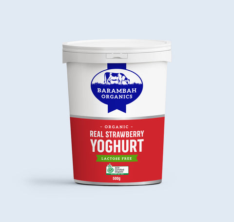 Organic Real Strawberry Yoghurt 500g