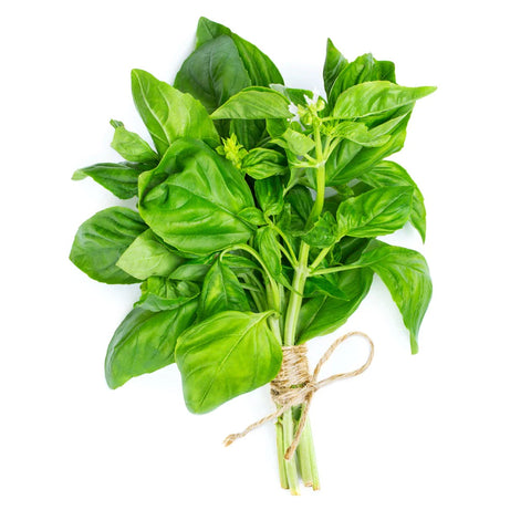 Basil - Bunch