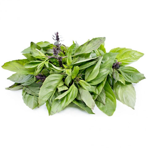 Basil Thai / 300g