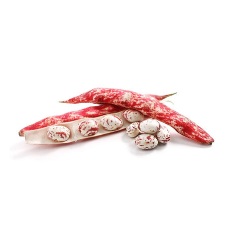 Borlotti Beans Fresh - 500g