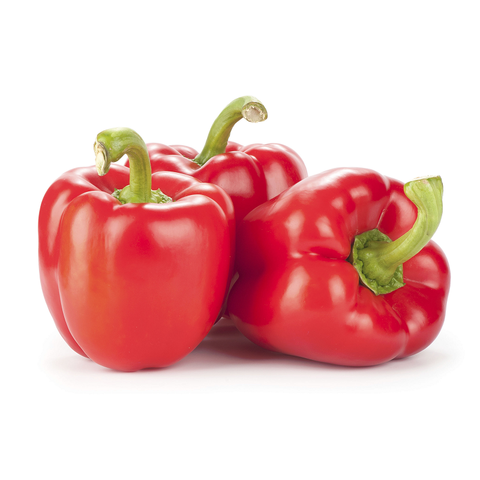 Capsicum Red - Each