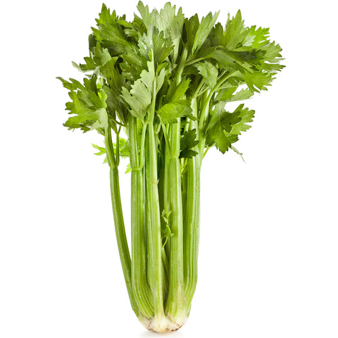 Celery / Bunch