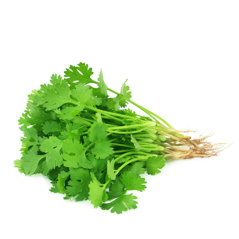 Coriander  / Bunch