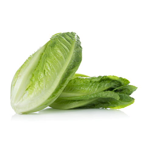 Baby Cos Lettuce - Pack of 2