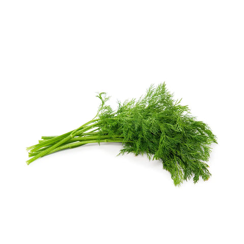 Dill / Bunch