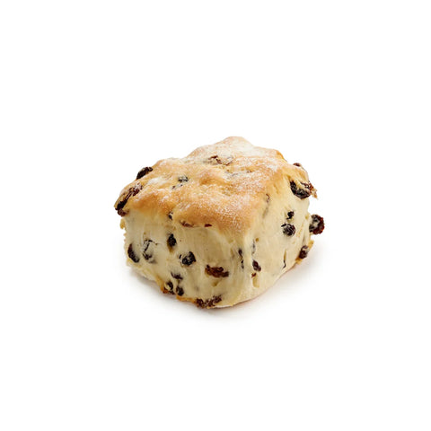 Fruit Scone