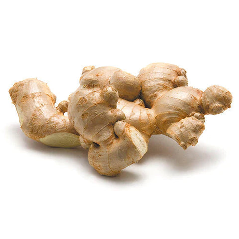 Ginger Young  / 200g