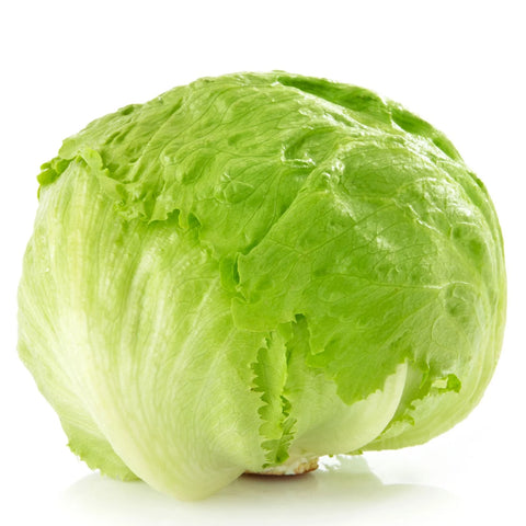 Lettuce Iceberg - Each