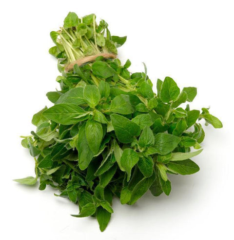 Oregano - Bunch