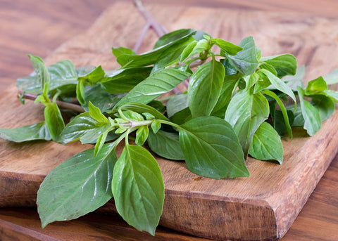 Organic Basil / Bunch