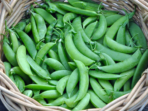 Sugar Snap Peas / 500g