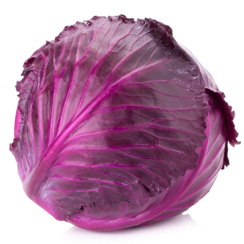 Cabbage Red whole / Each