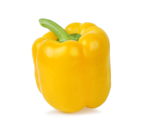 Capsicum Yellow - Each