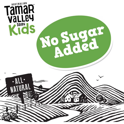 Tamar Valley Dairy Kids Greek Yoghurt Pouch Blueberry 110g