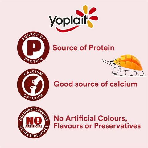 Yoplait Mango Yoghurt 1kg