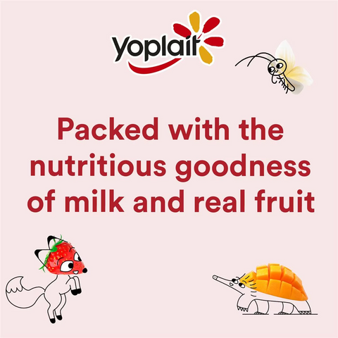 Yoplait Classics Mixed Yoghurts 6 Pack