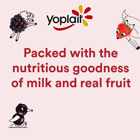 Yoplait Berry Punnet Mixed Yoghurts 6 Pack