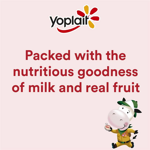 Yoplait Petit Miam Mango Pouch 70g