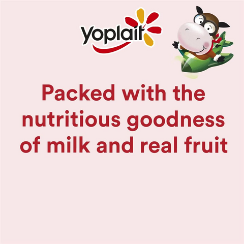 Yoplait Petit Miam Fruit Salad 70g