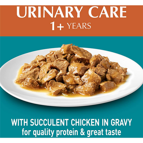 Purina One Adult Urinary Care With Chicken In Gravy Wet Cat Food 70g