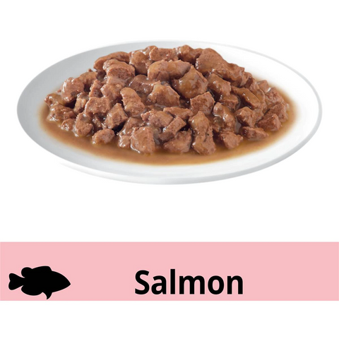 Dine Saucy Morsels With Salmon Wet Cat Food Tray 85g