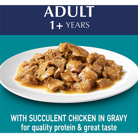 Purina One Adult Chicken In Gravy Wet Cat Food 70g