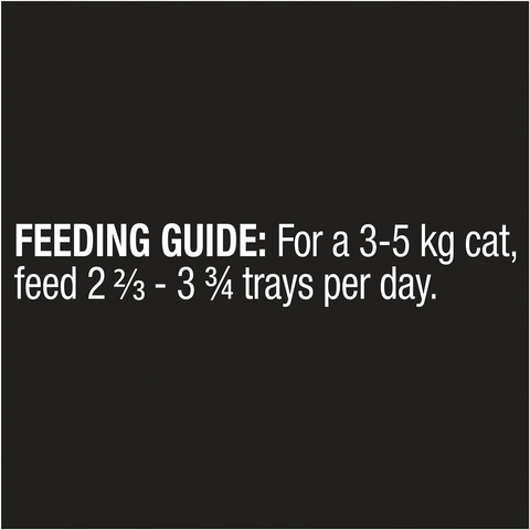 Dine Beef & Liver In Gravy Wet Cat Food 85g