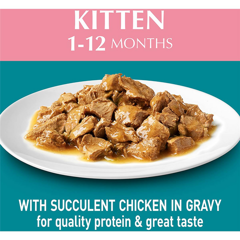 Purina One Kitten Chicken In Gravy Wet Cat Food 70g