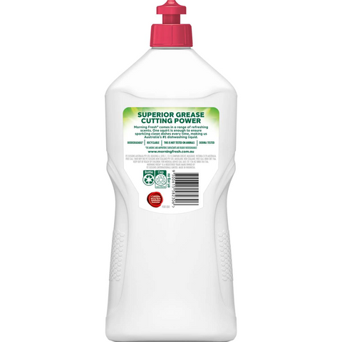 Morning Fresh Dishwashing Liquid Raspberry & Crisp Apple 900ml