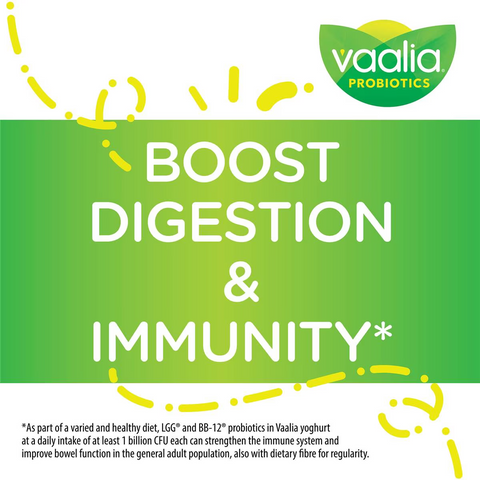 Vaalia Probiotic Yoghurt Natural 900g