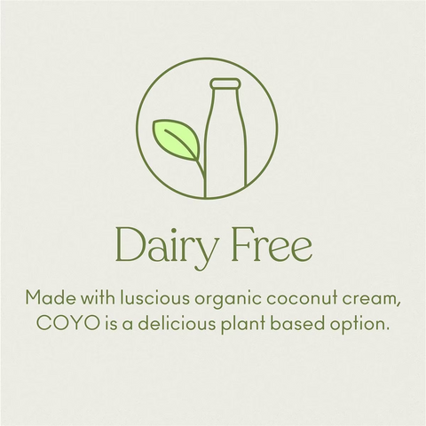 Coyo Dairy Free Yoghurt Probiotic No Added Sugar Natural 500g