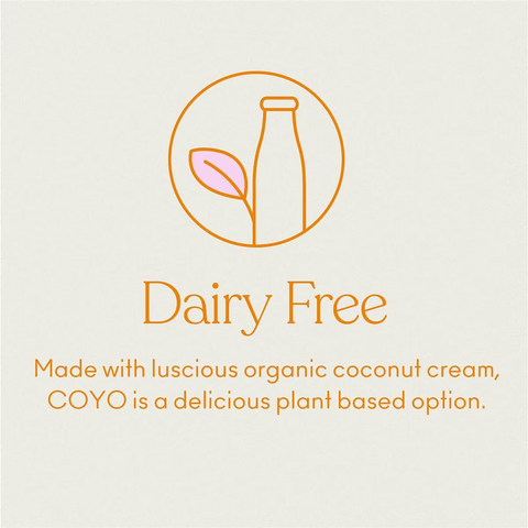 Coyo Dairy Free Yoghurt Probiotic Mango 500g