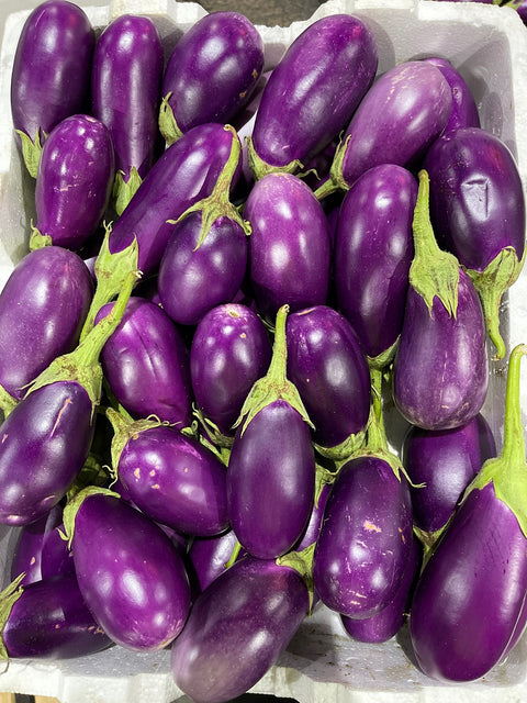 Eggplant Purple Small Size - Each