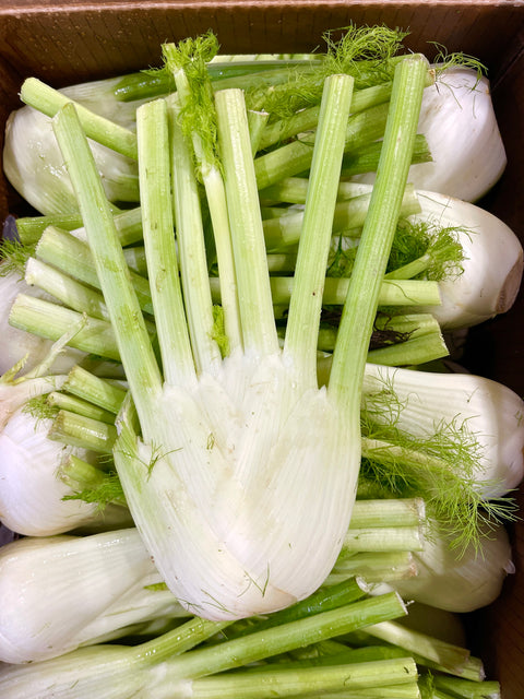 Fennel - Each