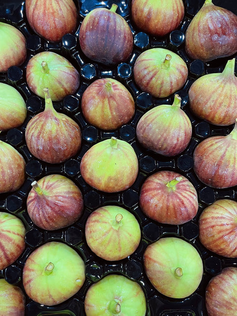 Australian Figs Black Genoa - Pack of 5