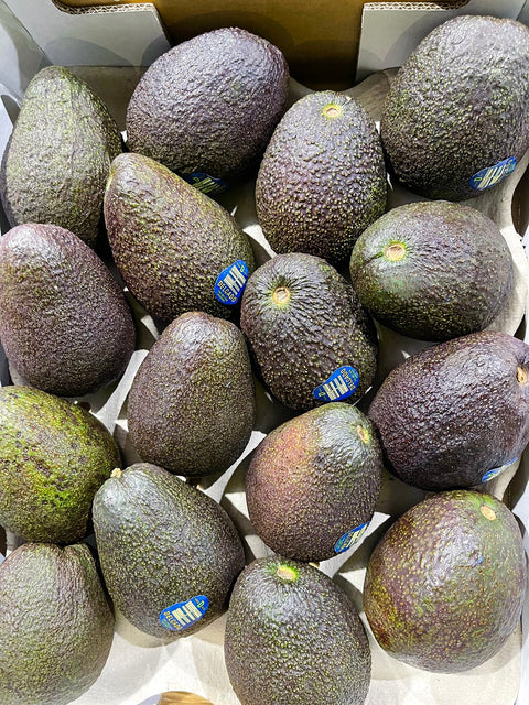 Australian Avocado Hass Large Size- Pack of 3