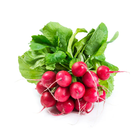 Red Radish Small - Bunch