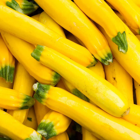 Golden Zucchini Large / Each